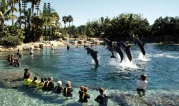 13岁的英国女孩被发现在佛罗里达主题公园的游泳池中失去知觉后死亡