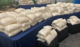 “草原历史上最大的”：在马尼托巴边境查获价值5000万美元的冰毒