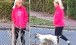 警方发布了萨福克谋杀案中失踪夹克的新照片