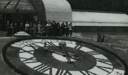 阿奇博尔德：人生苦短，没必要一直生气