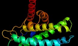 科学家发现了影响大脑中继发性乳腺肿瘤生长的新蛋白质