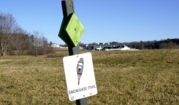 阿拉斯加可能是你度过白色圣诞节的最佳选择，因为美国的滑雪胜地只会下雨，而不会下雪