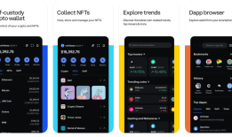 8个最佳加密货币钱包选项，用于安全交易