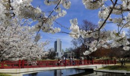 不再是第一名的亨茨维尔在最佳居住城市中排名第几？