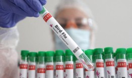 官员们说，禽流感在美国的进一步传播将增加人类感染的风险