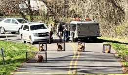 杰佛逊县最新的致命狗袭击事件夺走了一个“美丽的灵魂”