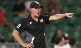 在光荣队退出后，斯塔伊契奇加盟西悉尼流浪者队