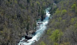 《南方生活》挑选了阿拉巴马州20个最美丽的目的地