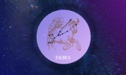 2024年摩羯座新月：你的星座塔罗牌的职业预测