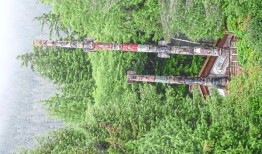 这位马来西亚人的梦想成真了，他在寒冷的阿拉斯加乘坐游轮