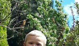 两人因三岁男孩被狗咬死而被起诉