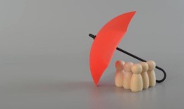 荷兰开始向来自乌克兰的第三国公民发送临时保护终止函