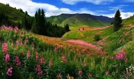 夏尔西里的绝美风光：一片未被开发的天然净土