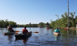 海岸皮划艇：5条小径提供通往河流、海湾和海滩的通道