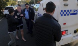 一名男子被控盗窃价值60万美元的Bluey硬币