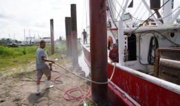 随着进口虾的大量涌入，拉巴特湾宣布捕虾业陷入灾难