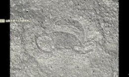 兵库县知事宣布在失去席位后将再次参选