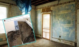 她把地板撕开，发现下面有一个奇怪的“蜘蛛网”“我真的很害怕”