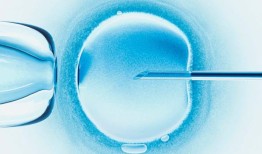 阿拉巴马州南部的一家医院将永远终止体外受精治疗