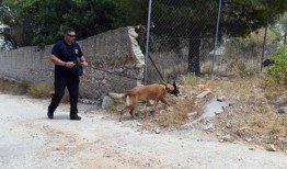 救援人员仍在“非常小”的岛屿上绝望地寻找失踪的电视名人迈克尔·莫斯利博士