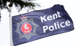 女子和狗在赫恩湾附近与出租车相撞后死亡