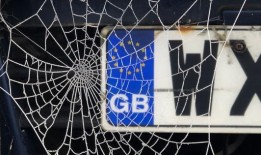 随着事故的增加，司机可以确保“更好地保护”车牌克隆风险